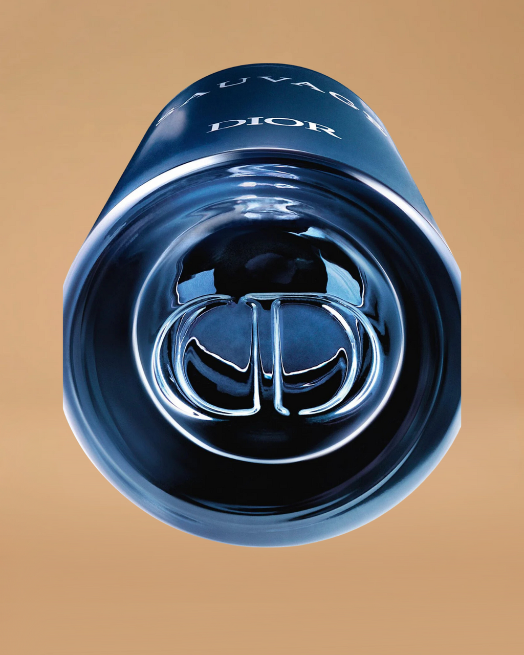 Dior Sauvage Eau de Toilette | 100ML Man