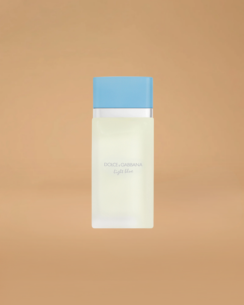 Dolce & Gabbana Light Blue Eau de Toilette | 100ML For Women