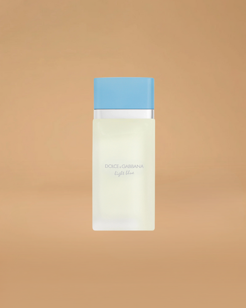 Dolce & Gabbana Light Blue Eau de Toilette | 100ML For Women