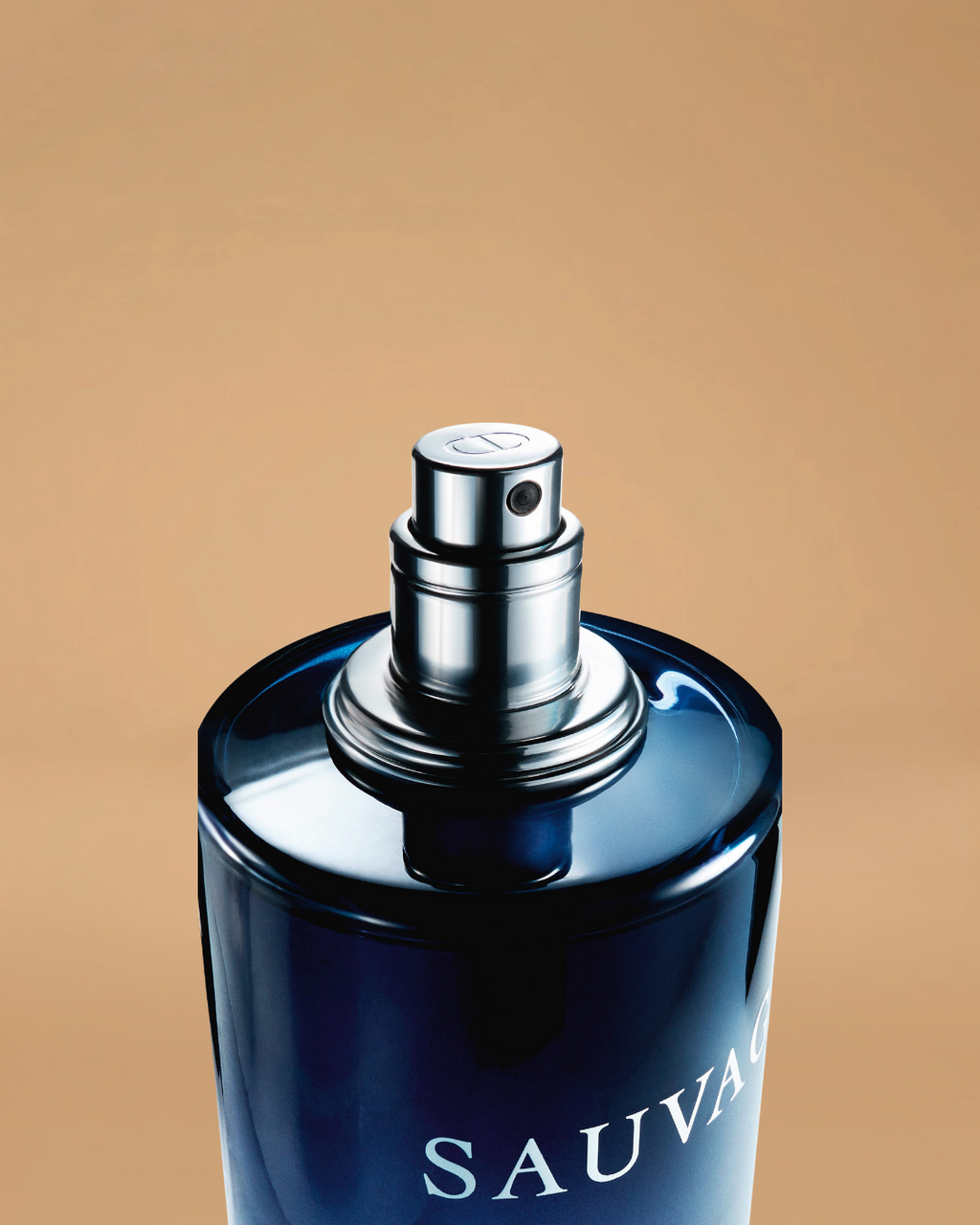 Dior Sauvage Eau de Parfum | 100ML