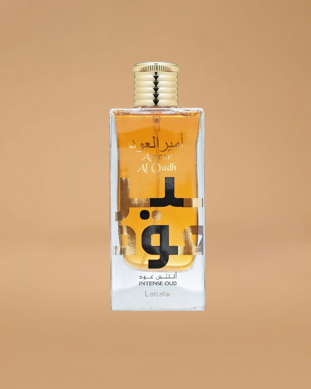 Lattafa Ameer Al Oudh Intense Eau de Parfum | 100ML Man